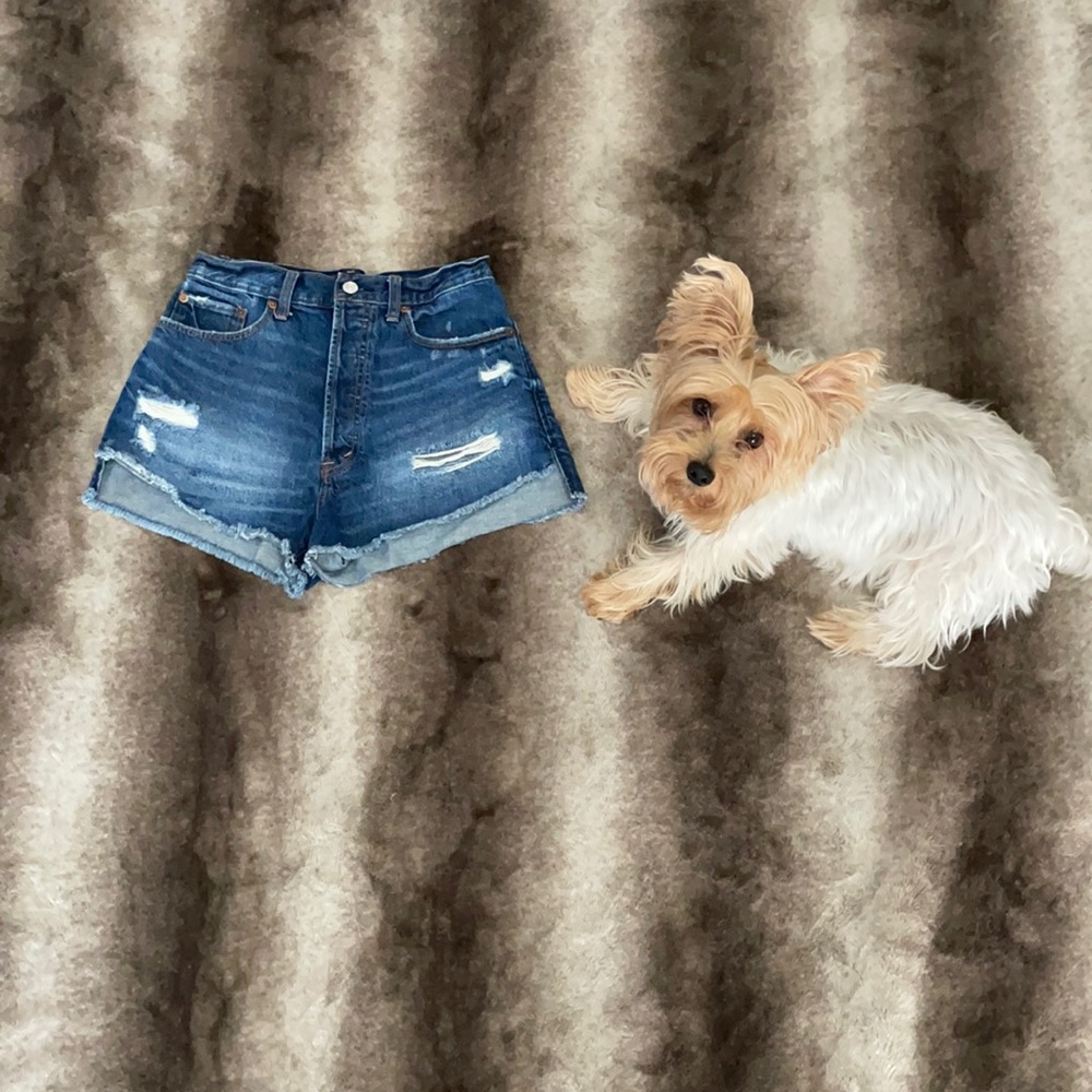 Abercrombie high waist shorts sz 26